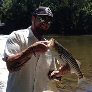 Meet your Posher, Thomas